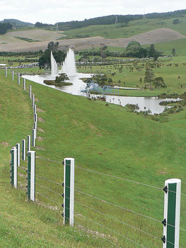 Green-and-White-Fence