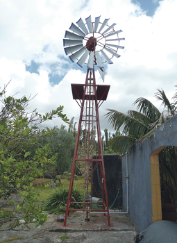 moir-st-windmill