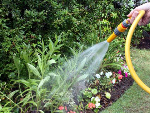 garden-watering-864