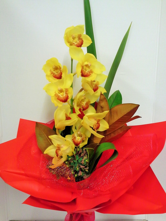 Blooming Orchid Stem