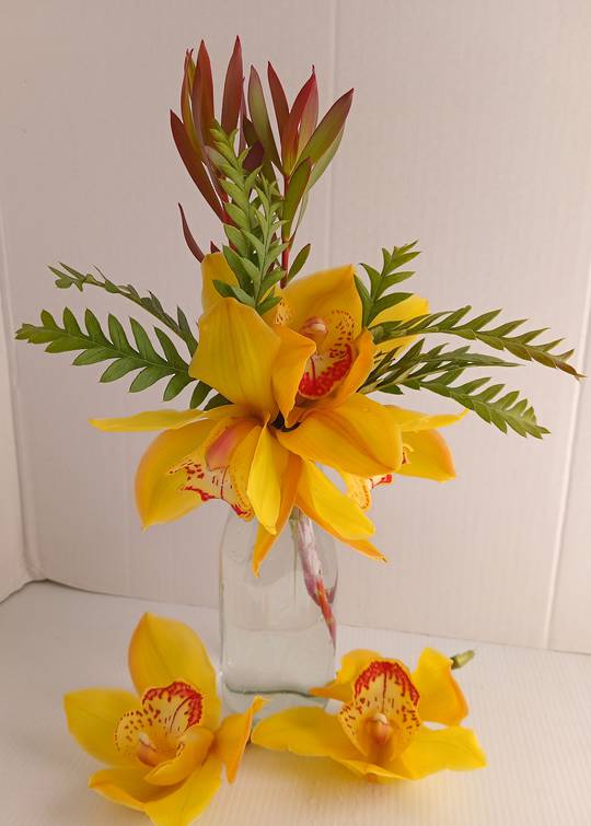 Florets of Orchids