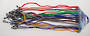 Sunglass Cords Coloured - (24 Cords Per Card)
