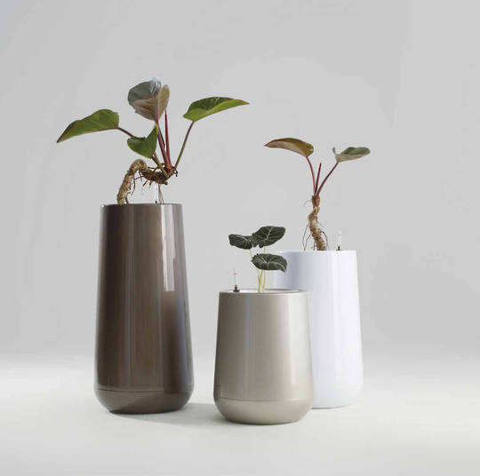 Paipa image 3