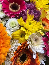 Florists Choice