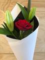 Single red rose and fragrant lily