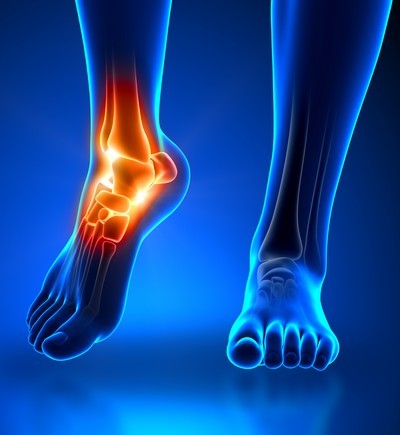 ankle