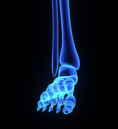 foot