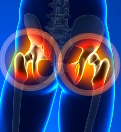 groin