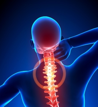neck