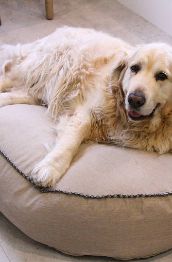 MM Linen - Kalo Natural Pet Bean Bed - Unfilled