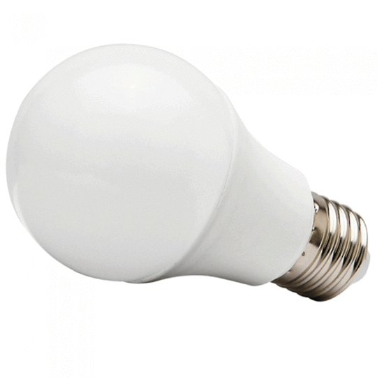 12 or 24 Volt Edison Screw Bulb