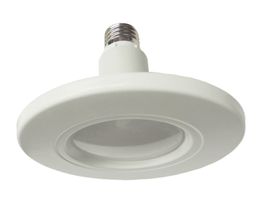 Replacement Downlight/Bulb 10 Watts