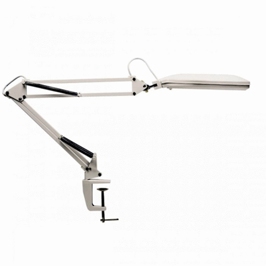 Fluorescent Desk Lamps