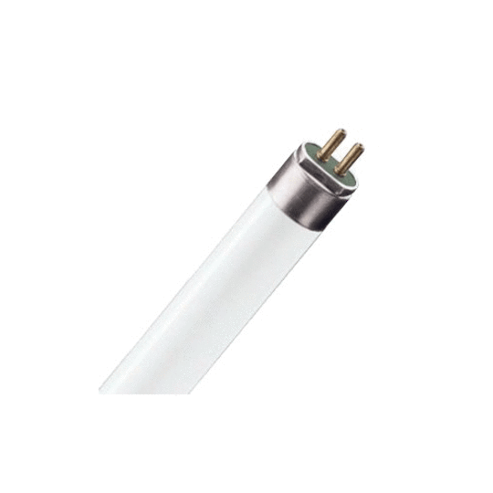 T8 Fluorescent Tubes