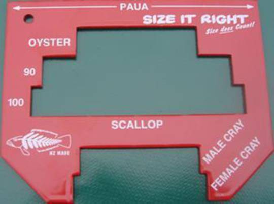 Size it right Measuring Tool