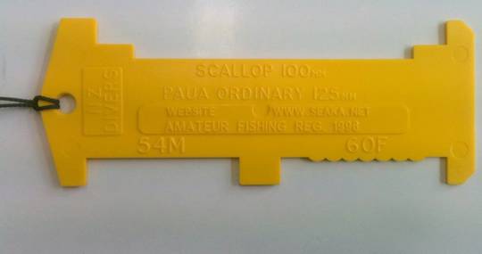 NZ Divers Measure tool