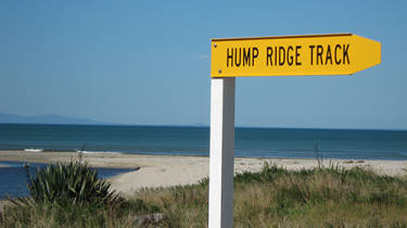 Tuatapere Hump Ridge Track