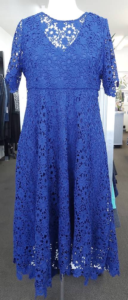 Taking Shape Lace Lined Occasion Dress