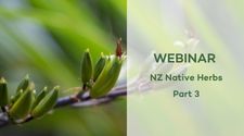 Webinar NZ Native Herbs Part 3