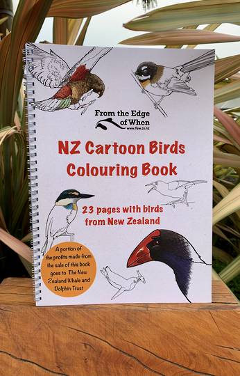 NZ Cartoon Birds Colouring Book