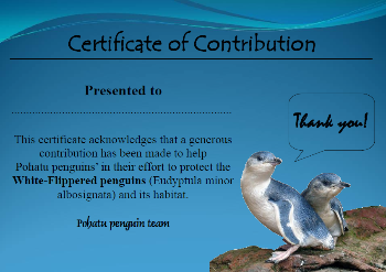 Adoption certificate for Pohatu penguin