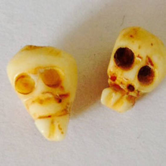 Bone Bead: Baby Bone Skull 8mm x 6mm