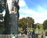 climbing_in_auckland_parks_1.jpg