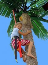 coconut_climb_1.jpg