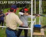 Clay_bird_shooting_5.jpg