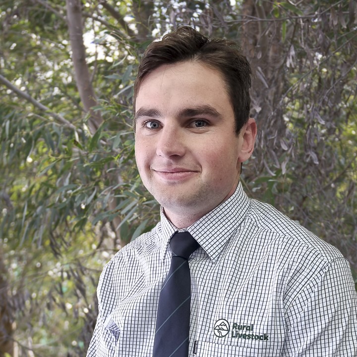 Otago Livestock Agents South Island, NZ Rural Livestock