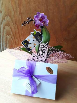 Mini Orchid and Scilla Chocolates