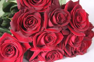  Dozen Red Roses