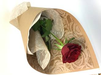 Naturally Romantic Rose