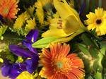 Florists choice - Beautiful and bright