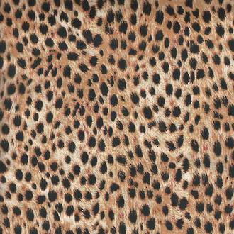 Wild Side - Leopard
