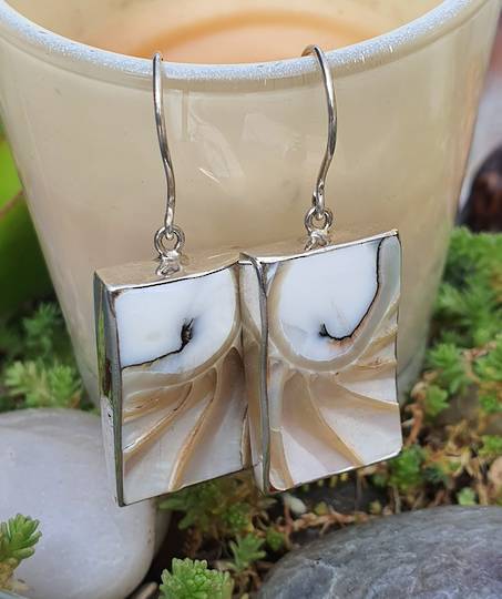 Rectangle nautilus shell silver earrings