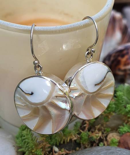 Round Nautilus Shell Silver Earrings