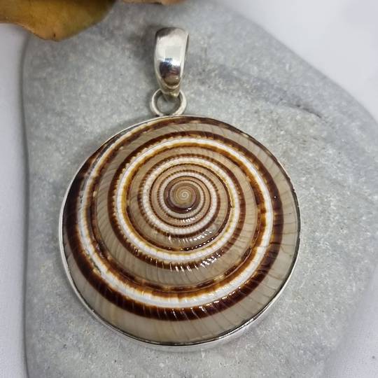 Sterling silver brown sundial shell pendant