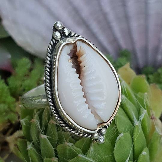Unusual shell ring