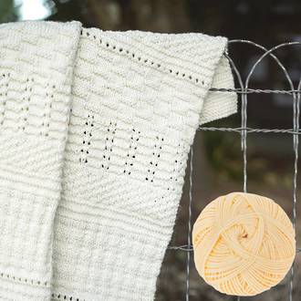 Skeinz Blanket Kit - Stitch Sampler - Chickadee