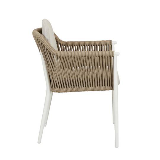 Delphi Dining Arm Chair image 1