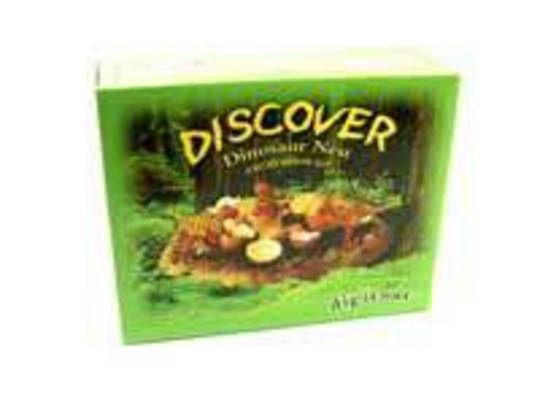 Dinosaur Nest Excavation Kit