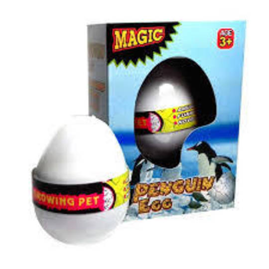 Growing Pet Penguin Egg