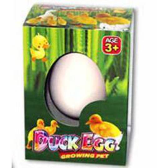 Growing Duck Magic Hatch Em