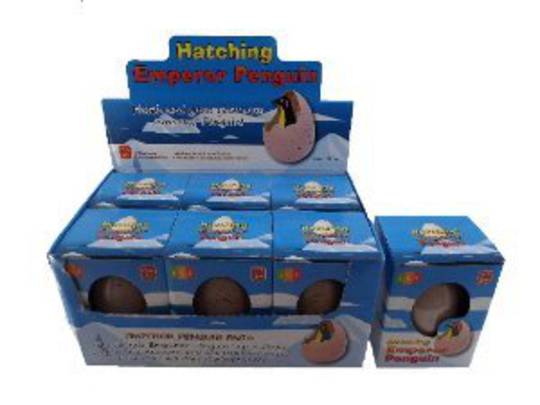 Hatching Emperor Penguin