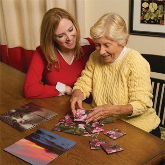 Set of Magnetic Puzzles