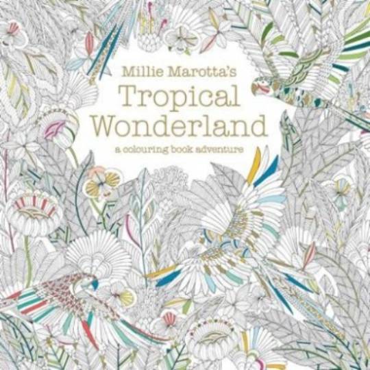 Adult Colouring - Millie Marotta's Tropical Wonderland