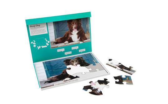 Sheep Dog 13 Piece Plastic Puzzle