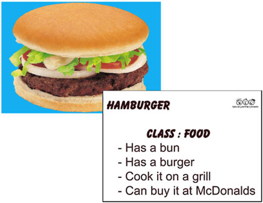Learn to talk about food & appliances