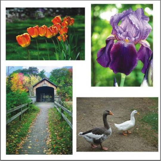 Thera-Jigsaw (set 4)
